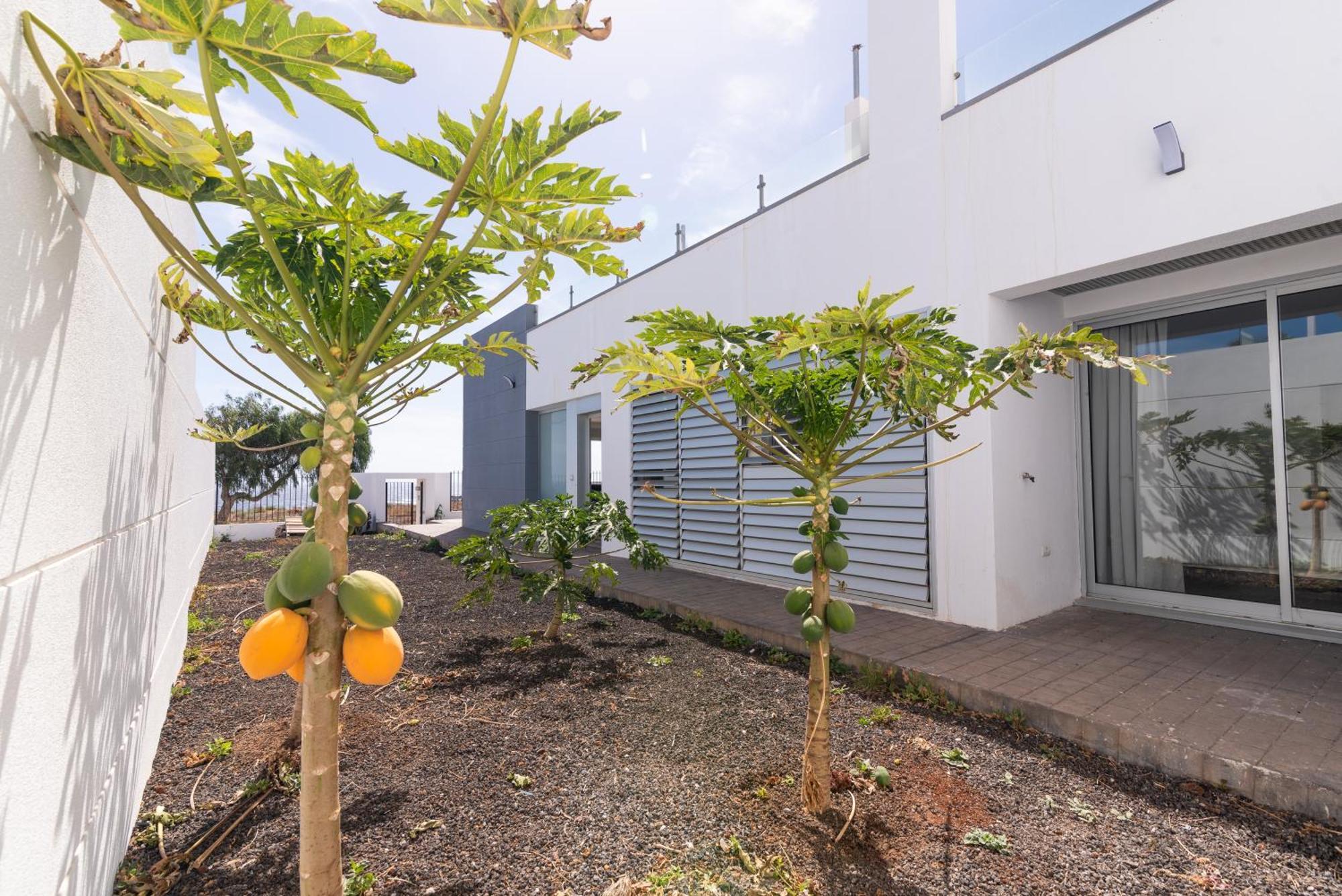 House Near The Beach W Sea View Arico المظهر الخارجي الصورة